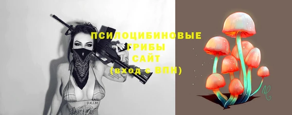 соль ск Михайлов