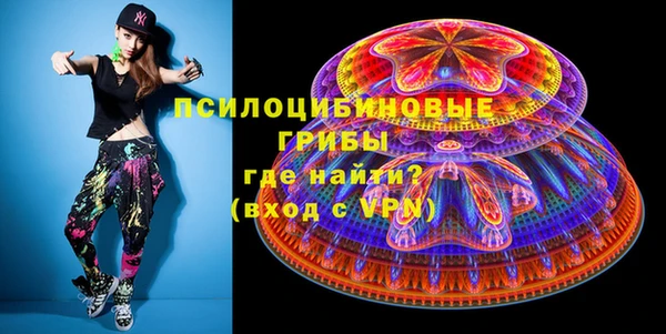 соль ск Михайлов
