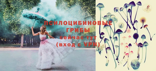 прущий лед Михайловка